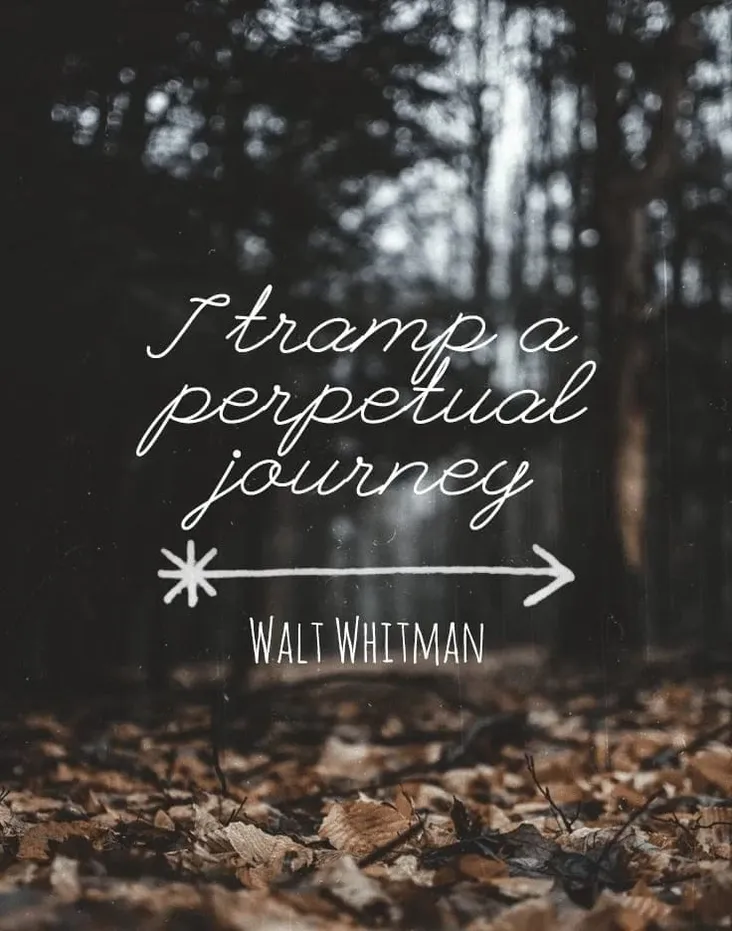 1608075633 Walt Whitman.png