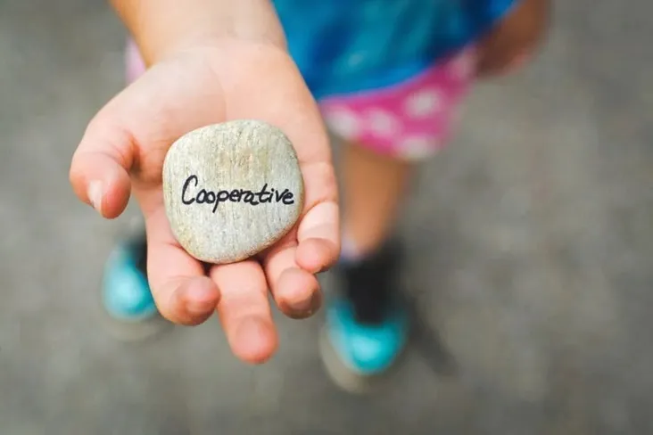 cooperative 1024x683 1.jpg